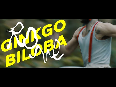 Vidéo Youtube