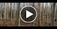 Vidéo vimeo