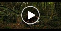 Vidéo vimeo