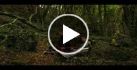 Vidéo vimeo