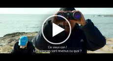 Vidéo vimeo