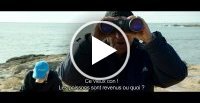 Vidéo vimeo