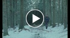 Vidéo vimeo